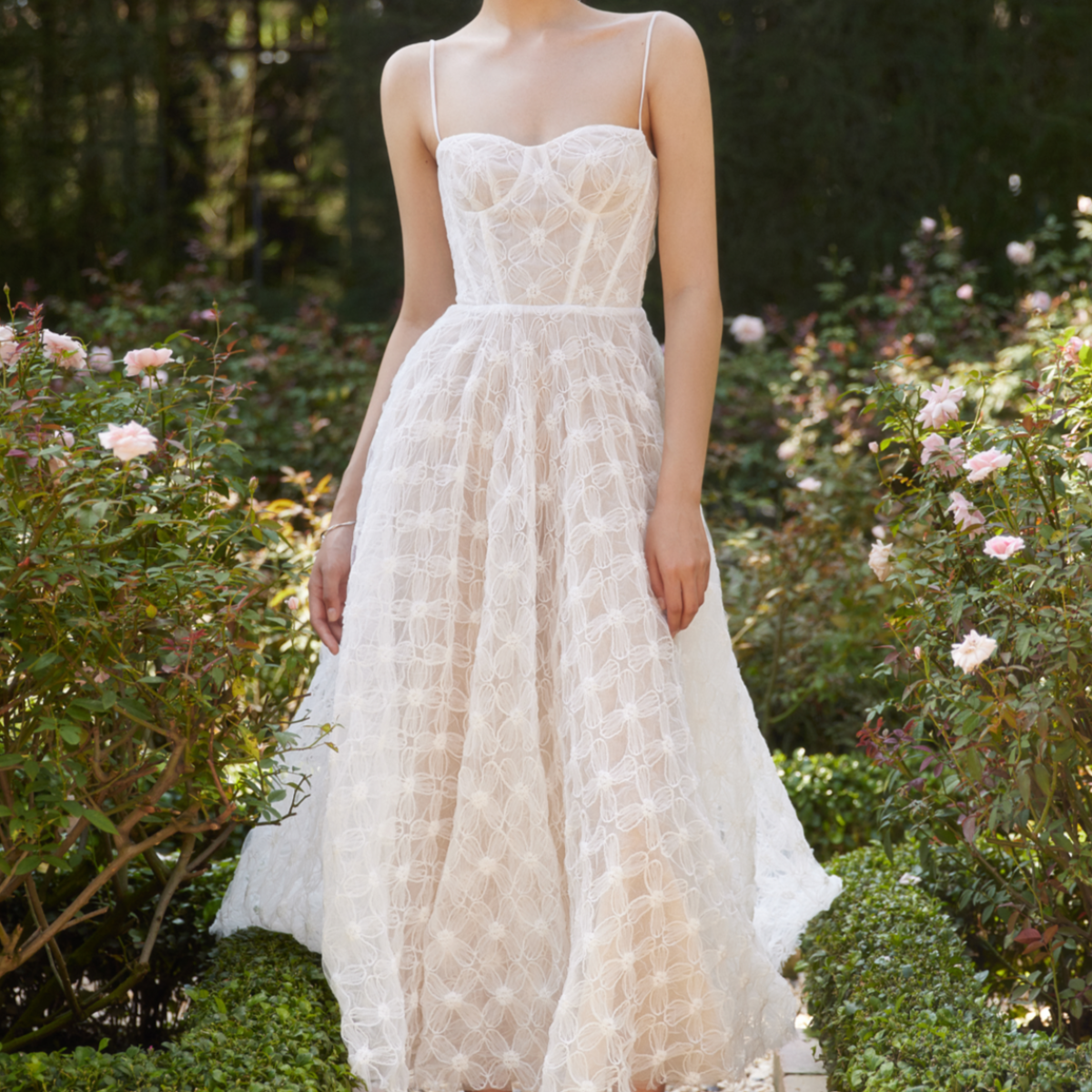knee length dresses for ladies Calliope Dress